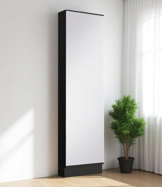 Wall-mounted Black Ten Pair Shoe Rack