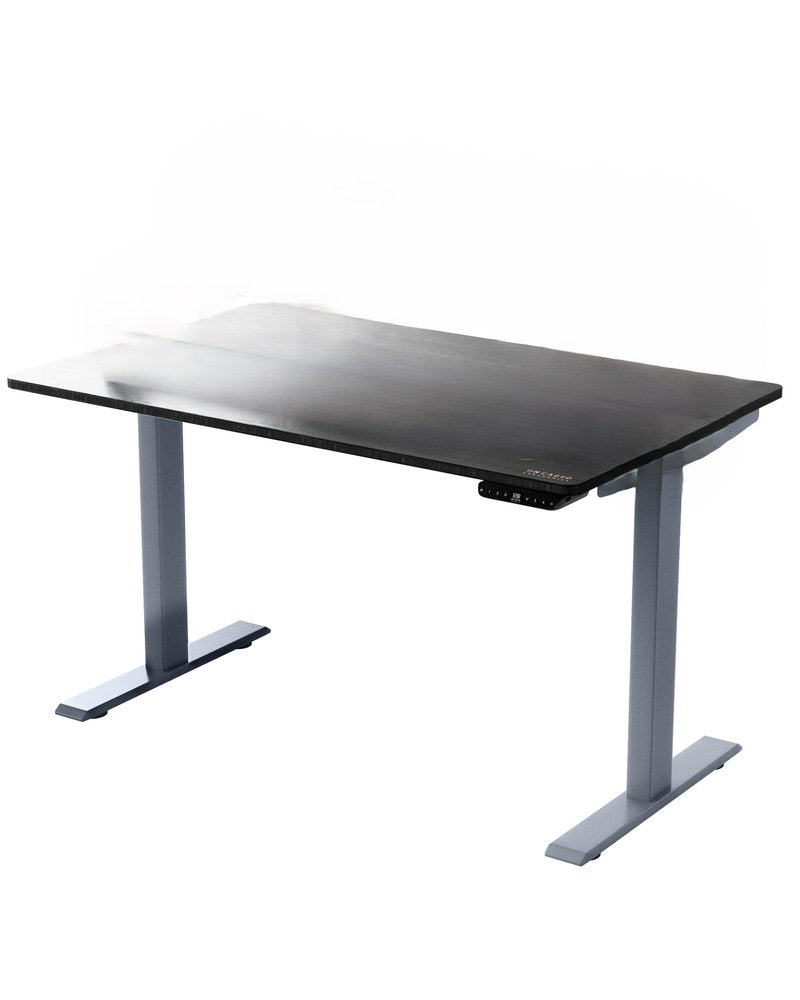 Premier 45" Gray Dual Motor Electric Office Adjustable Stainless Steel Standing Desk