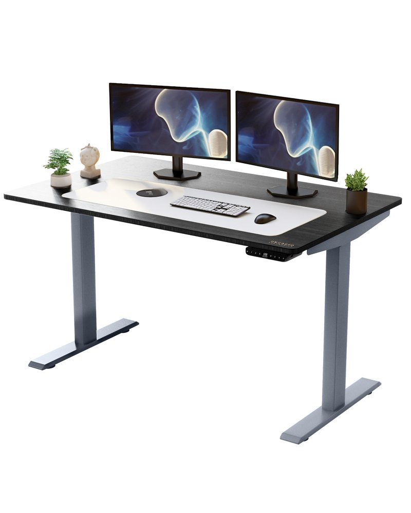 Premier 45" Gray Dual Motor Electric Office Adjustable Stainless Steel Standing Desk
