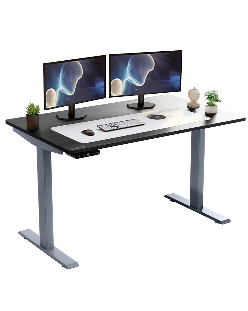 Premier 45" Gray Dual Motor Electric Office Adjustable Stainless Steel Standing Desk
