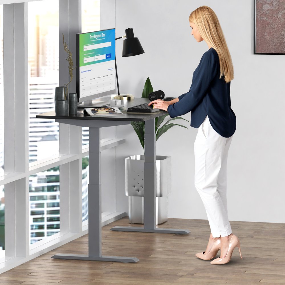 Premier 45" Gray Dual Motor Electric Office Adjustable Stainless Steel Standing Desk
