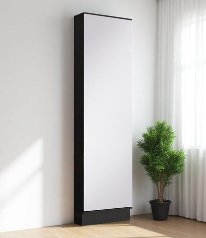 Wall-mounted Black Ten Pair Shoe Rack